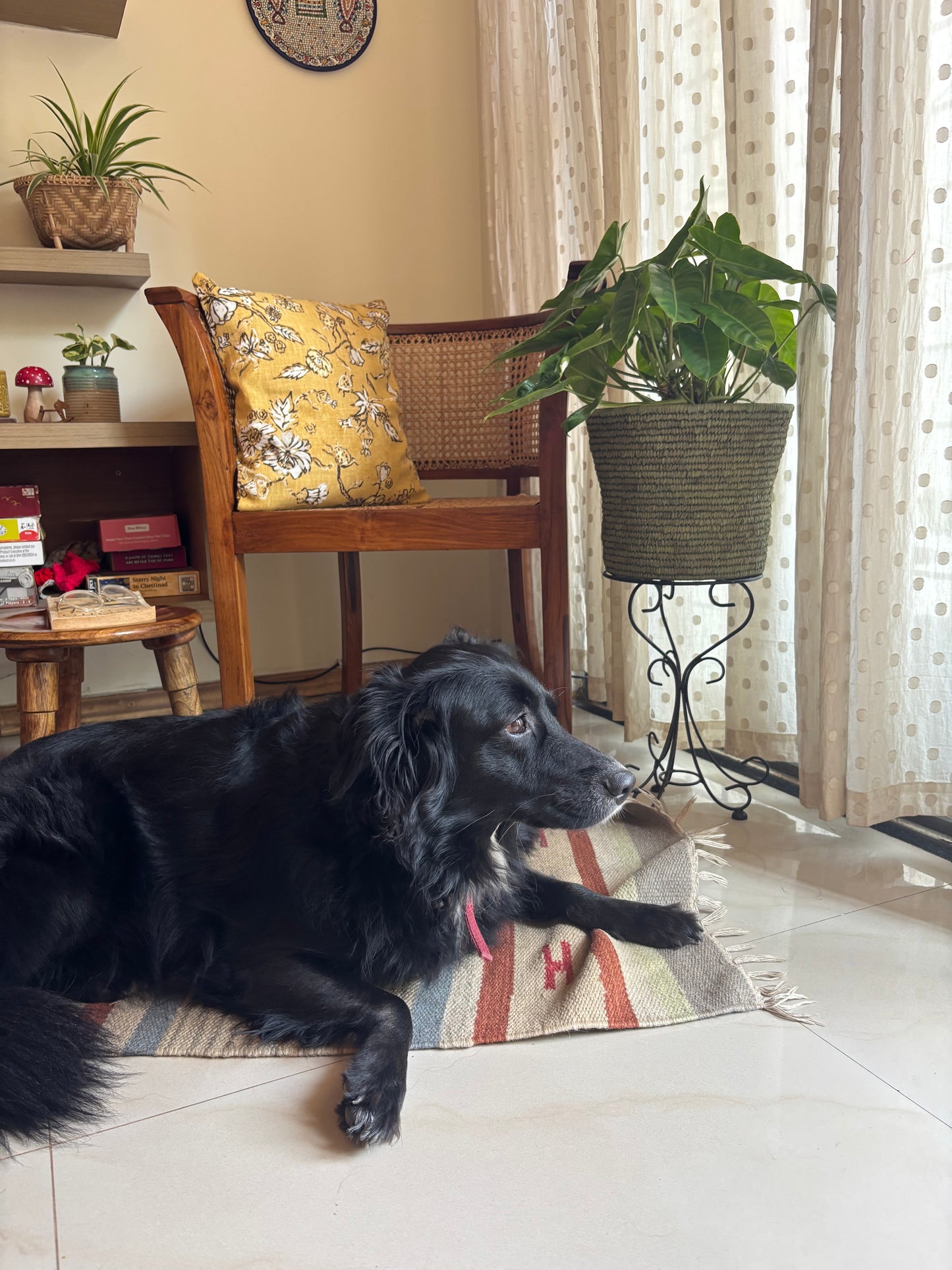 Cushion Cover - Golden Meadow